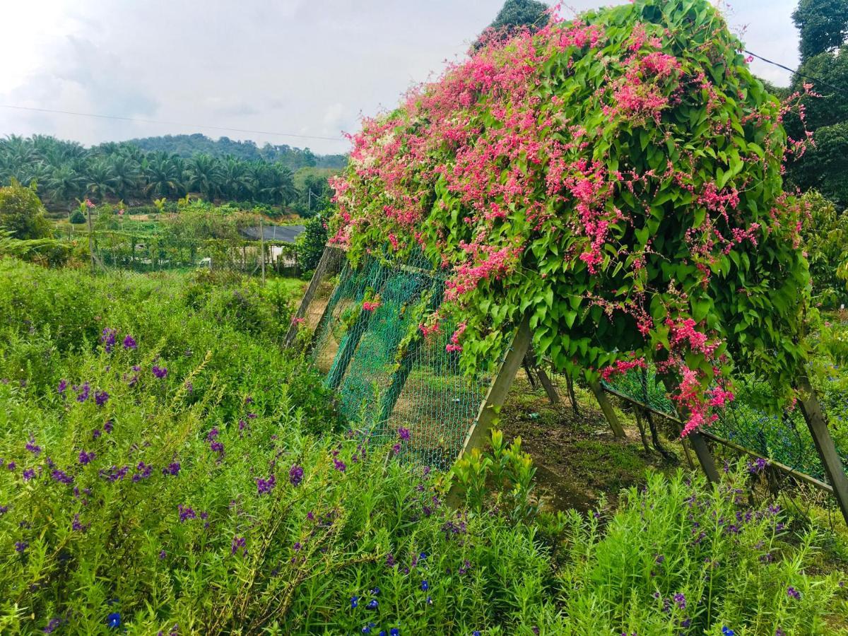 טמפין Durian Ecolodge מראה חיצוני תמונה