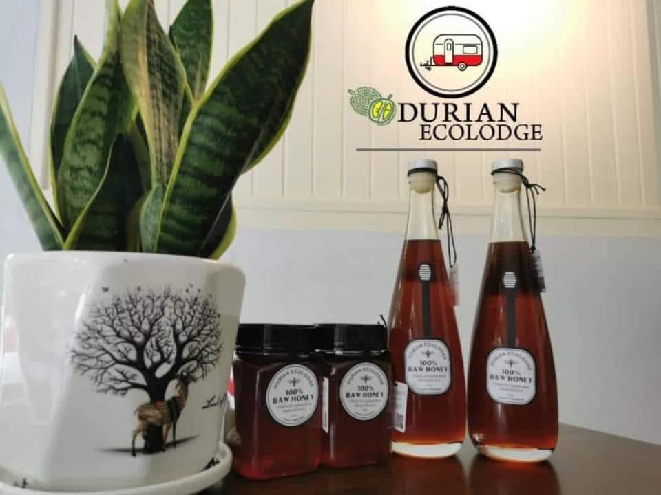 טמפין Durian Ecolodge מראה חיצוני תמונה